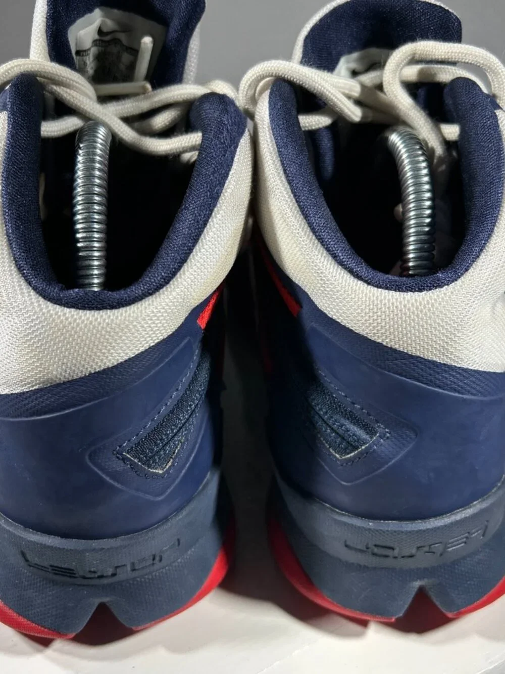 Nike zoom lebron